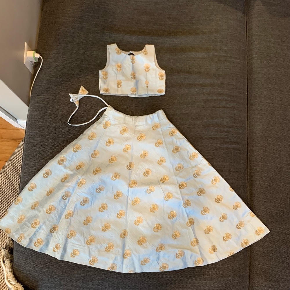 Girls Indian lehenga, skirt and crop top